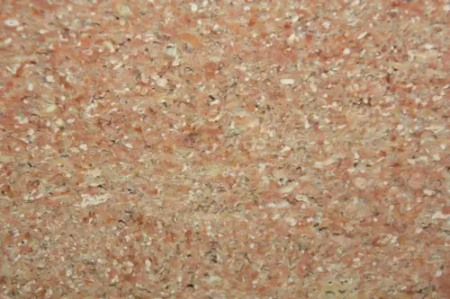 Lumaquella — Kalkstein