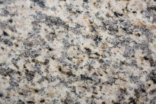 Tiger Skin — Gneis